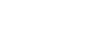 logo-txitxardin